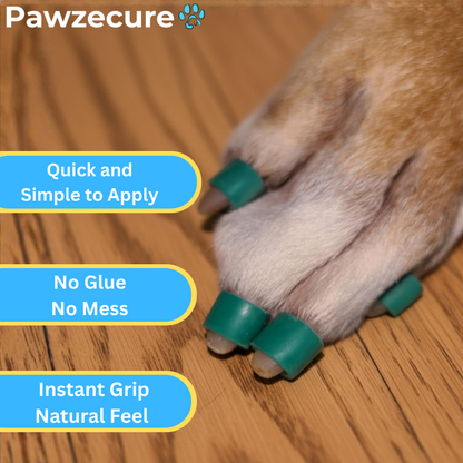 Pawzecure Anti-Slip Nail Grips™