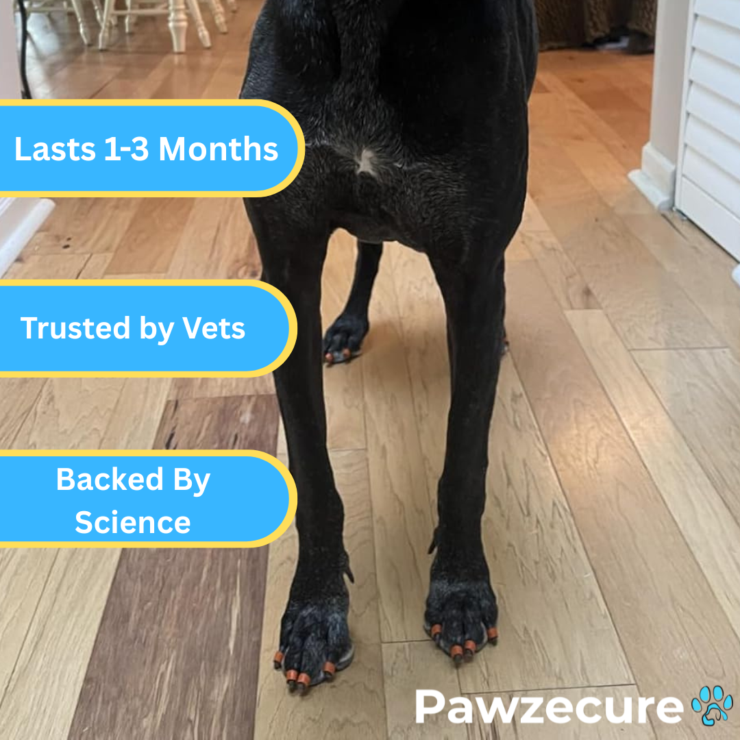 Pawzecure Anti-Slip Nail Grips™