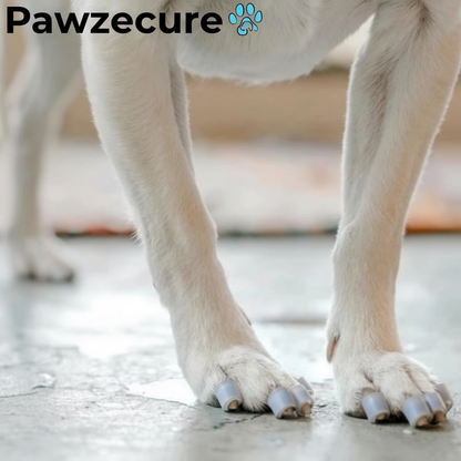 Pawzecure Anti-Slip Nail Grips™