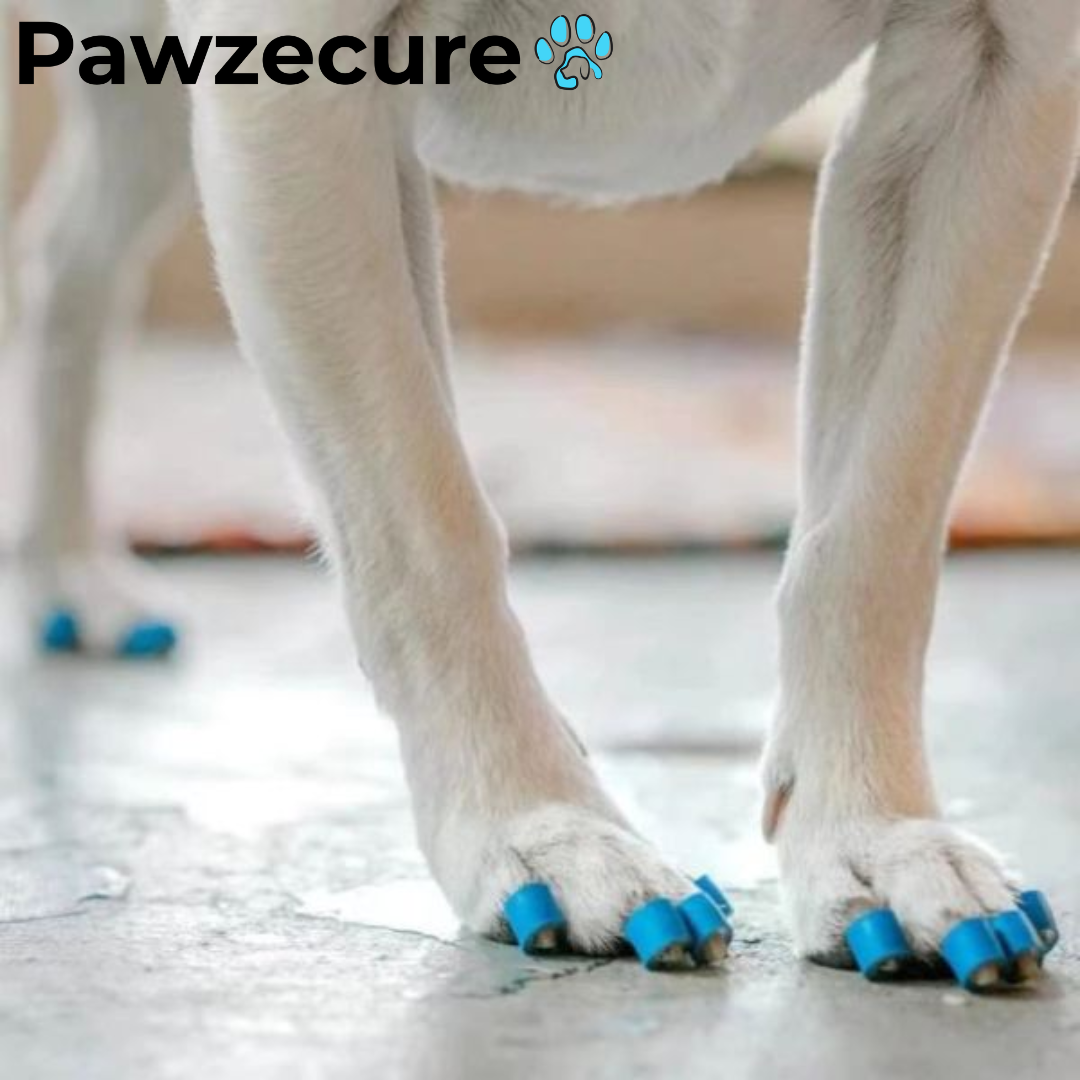 Pawzecure Anti-Slip Nail Grips™